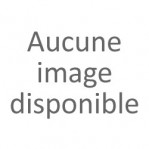 Adulte